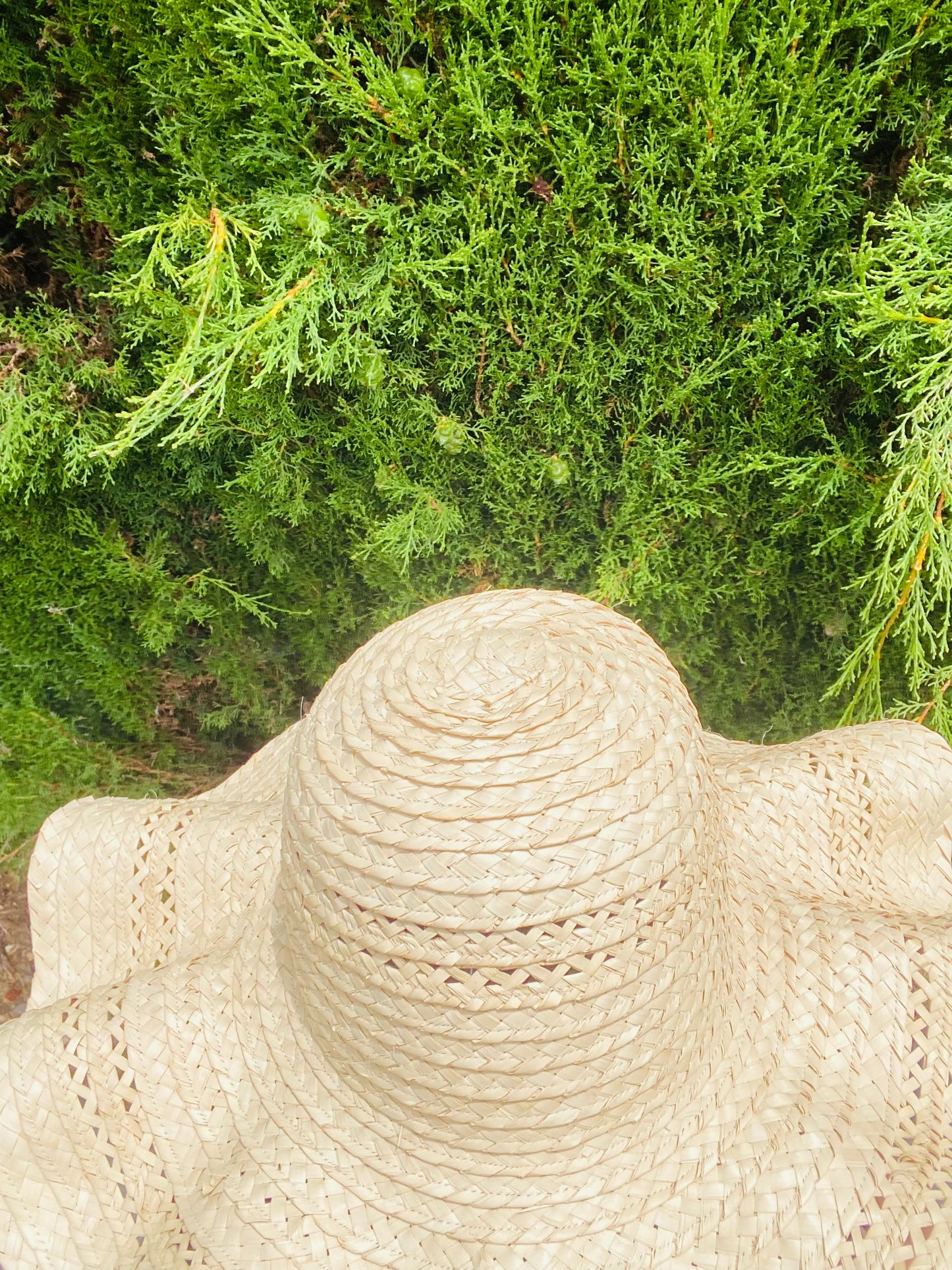 Sombrero - Wide brim hat