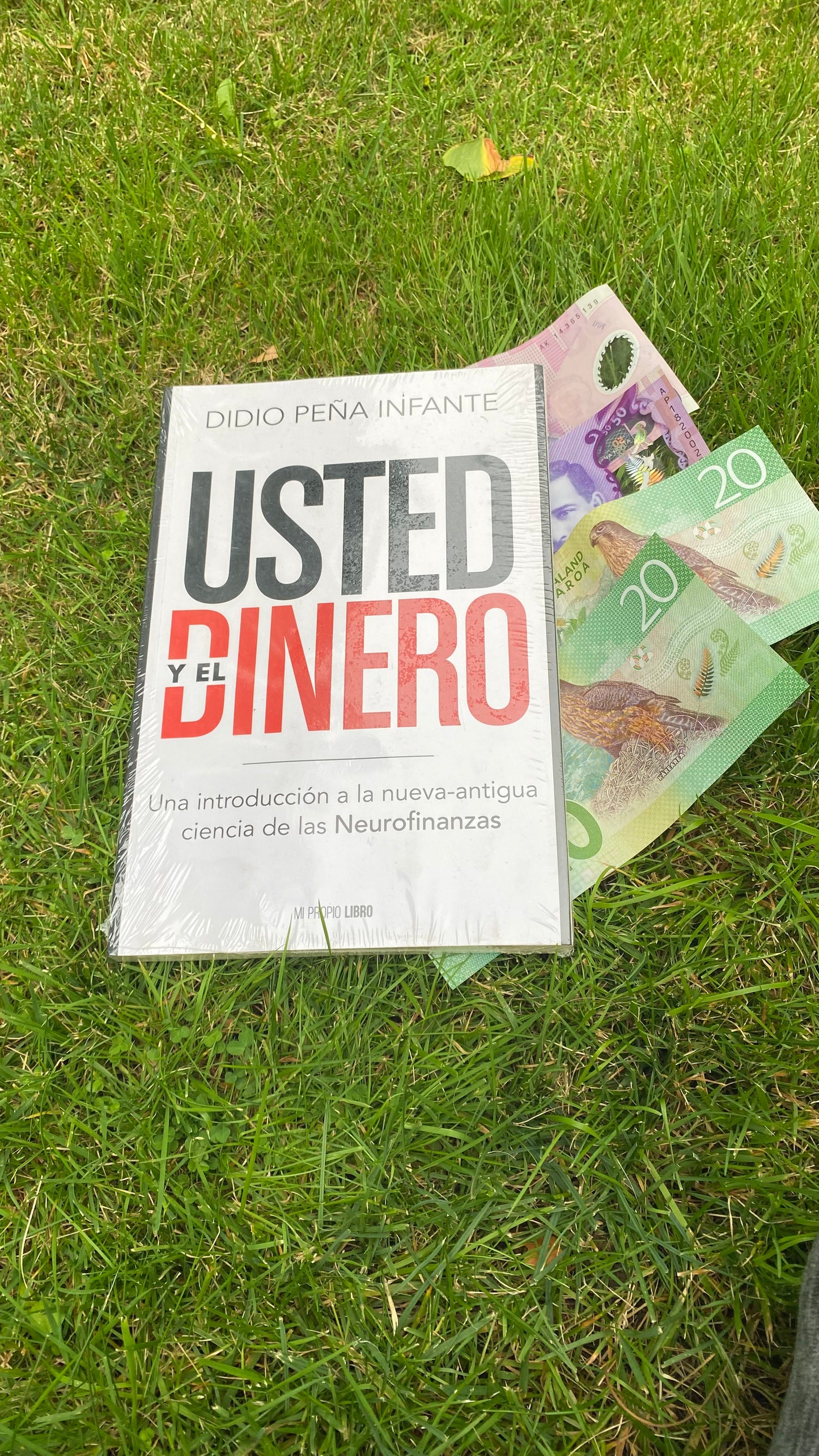 ¡Usted y el dinero!